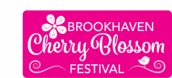 2020 Cherry Blossom 5k March 21 Festival March 28 29 Facebook Pixel Code Brookhaven Georgia - music ids for roblox brookhaven