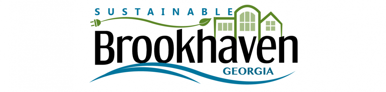 Built Environment  Brookhaven Georgia