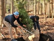 Justin Viens, left, owner of Southern Gardener Landscape and Design, demonstrates how to properly plant the young trees. 