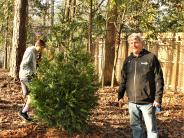 Brookhaven Mayor John Ernst checks out one of the newly planted trees.