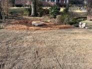 Landscape restoration sod work