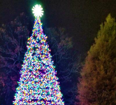 Brookhaven virtual tree lighting is Wed., Dec. 2